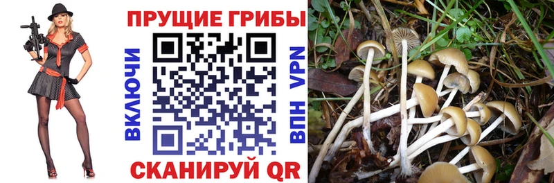 закладки  Артёмовский  Галлюциногенные грибы мухоморы 